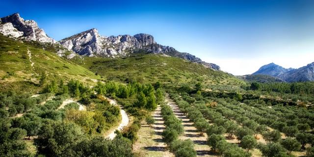 Massif Des Alpilles. Crédit : Mouton.A