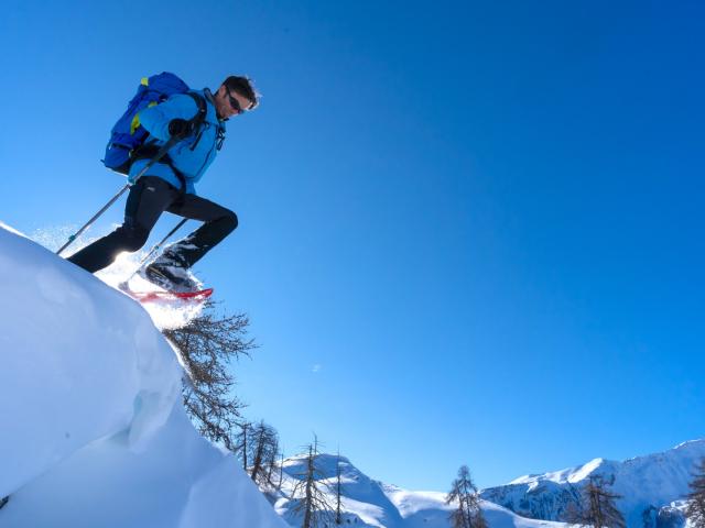 Alpes Du Sud Pilote De La Transition Ecologique