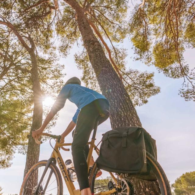 Balade Velo La Londe Les Maures Provence Cluparini