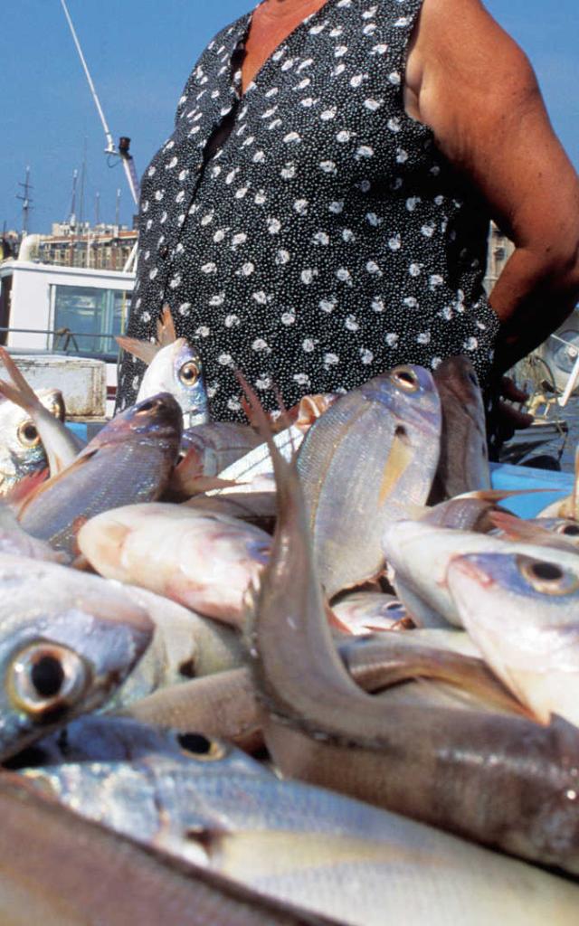 Marche Poissons Vieux Port Marseille