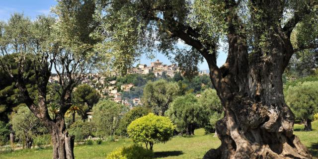 Musee Renoir Cagnes Sur Mer Villedecagnessurmer Nchaxel