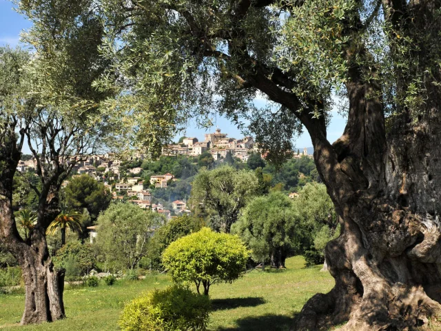 Musee Renoir Cagnes Sur Mer Villedecagnessurmer Nchaxel