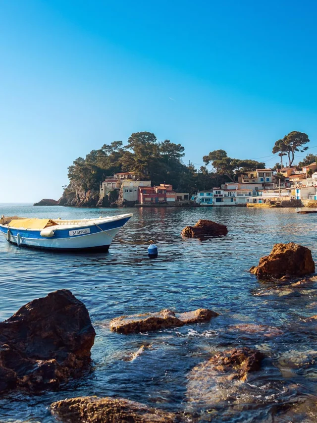 Toulon It All Started With A Dive In The Deep Blue