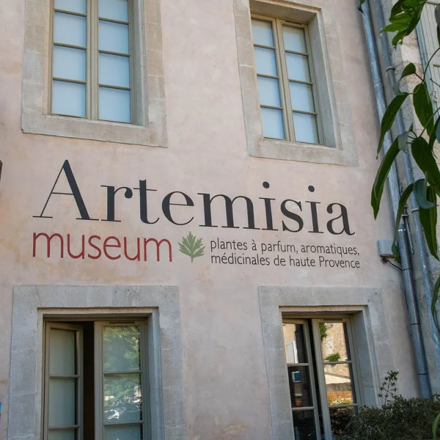 Artemisia Museum Forcalquier