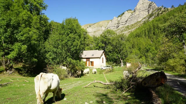 Maison Forestiere De Chaudun Sources Du Buech Alpes