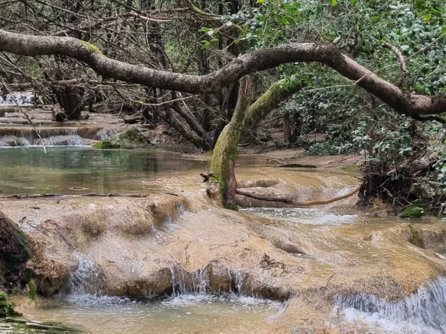 Vasques Sources Huveaune Nans Les Pins Jaurray