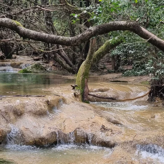 Vasques Sources Huveaune Nans Les Pins Jaurray