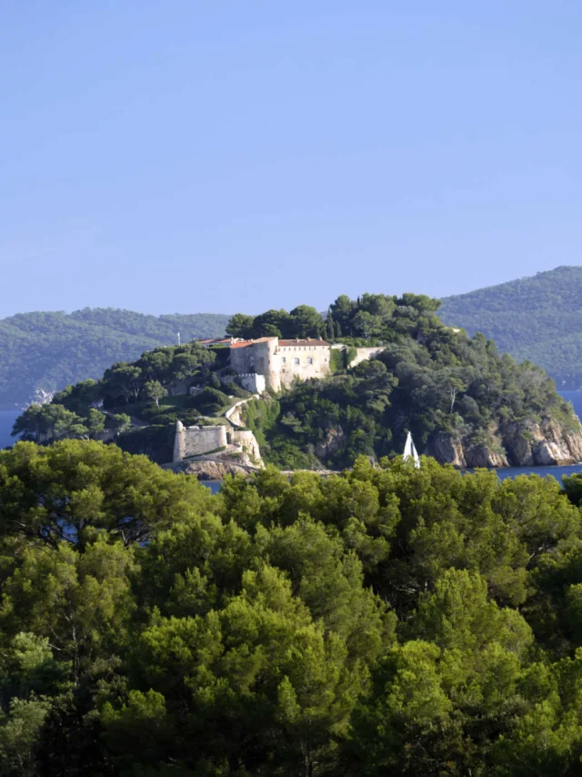 Fort De Bregancon Bormes Les Mimosas Jcabanel