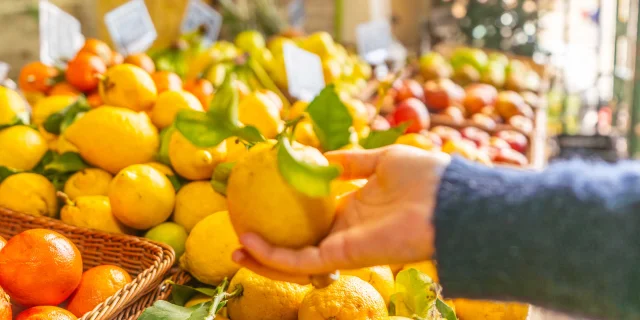 Zitrone - Markt in Menton - Alpes Maritimes