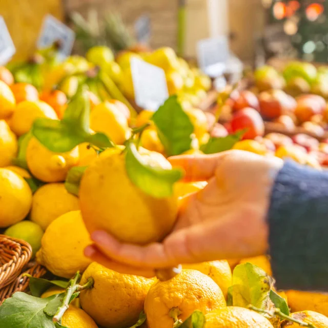 Citron au marché de Menton