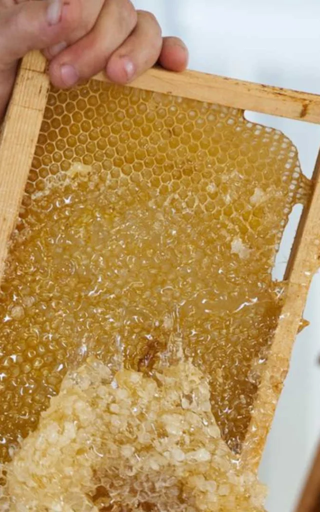 Nahaufnahme der Honigernte