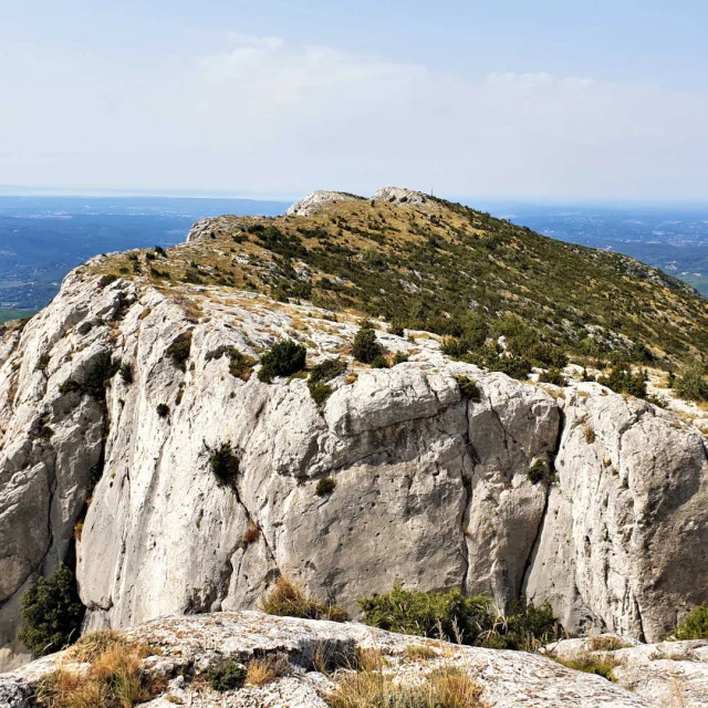 Sainte Victoire Aix En Provence Jauray