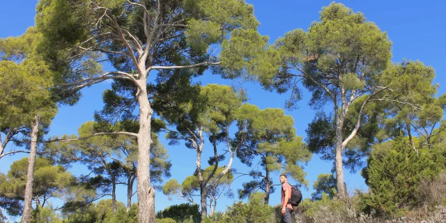 Randonneur sur la plage de l'Estagnol à Bormes-les-Mimosas en été