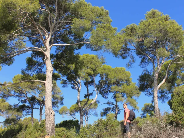 Randonneur sur la plage de l'Estagnol à Bormes-les-Mimosas en été