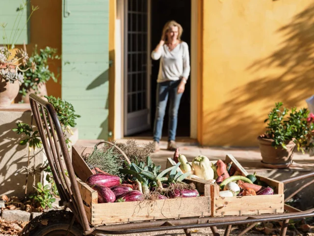 Recolte Fruits Et Legumes Ferme Auberge Hfabre Photography