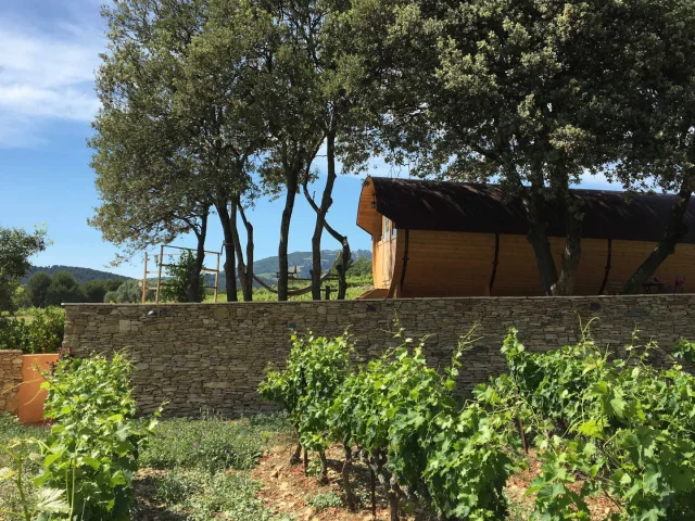 Plan large sur le gîte tonneau et les vignes