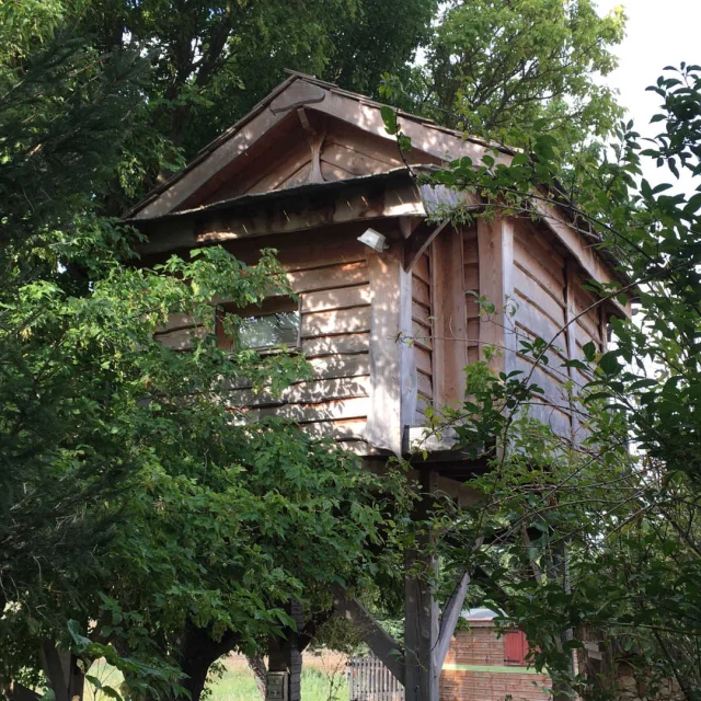 Cabane dans les arbres au Moulin d'Espagne à Ginasservis