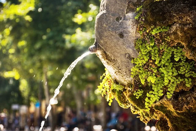 Fontaine à Aix En Provence