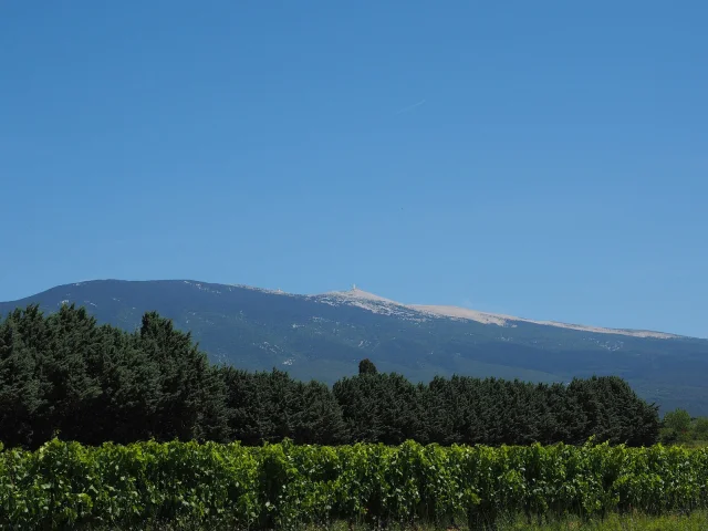 Vue Mont Ventoux