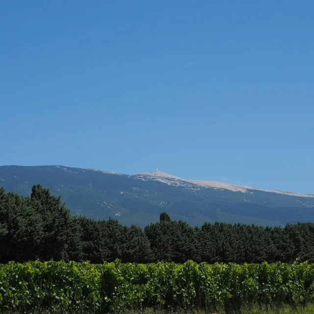 Vue Mont Ventoux