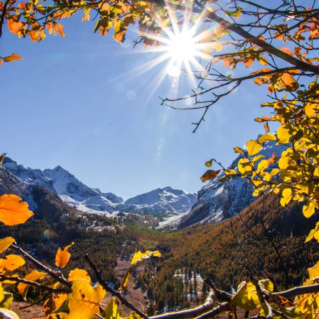 Vallée De l'Ubaye en automne