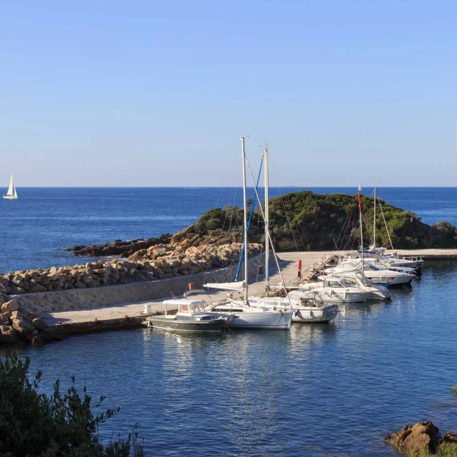 Port Auguier sur la Presqu'ile de Giens