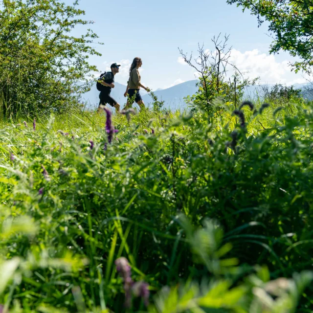 Couple en randonnée en pleine nature