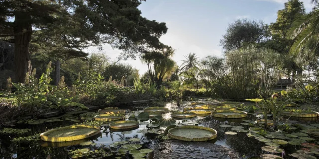 Teich und Seerosen im Botanischen Garten Val Rahmeh in Menton