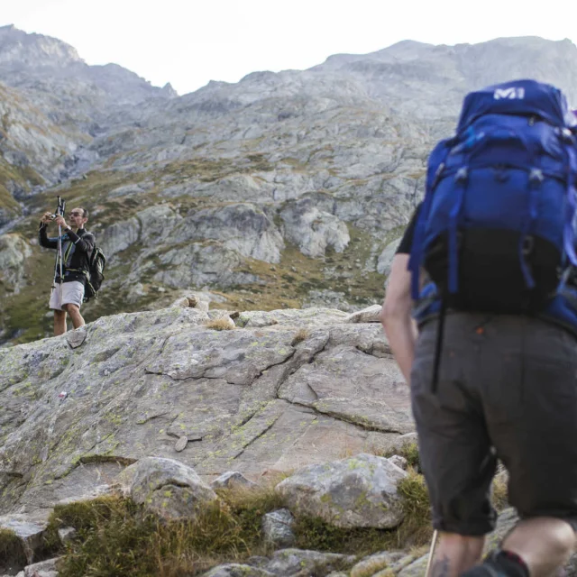 Randonnée en groupe dans les paysages du Mercantour