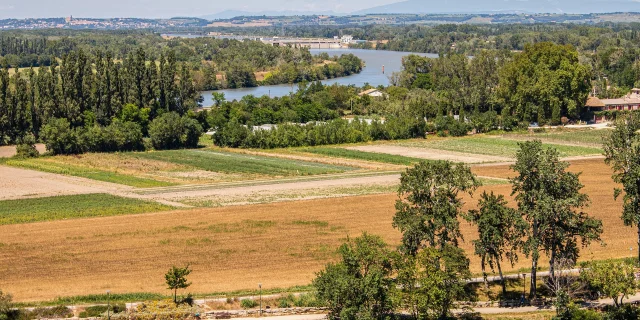 L'île de la Barthelasse