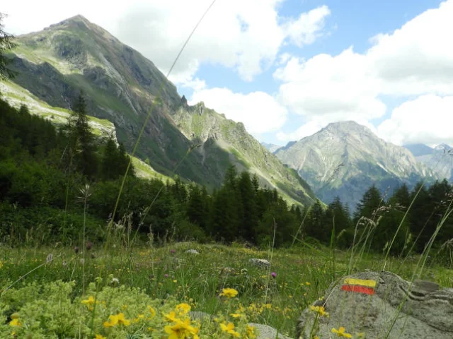Champsaur Montagne