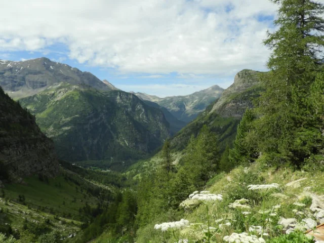 Paysages du Champsaur