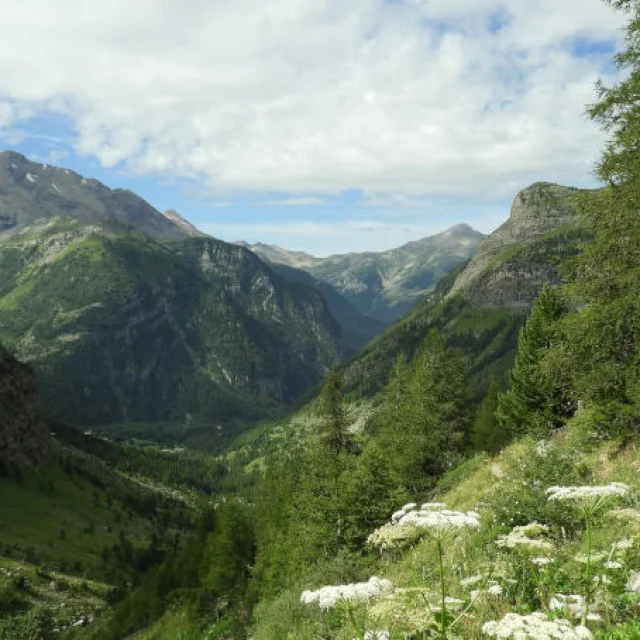 Paysages du Champsaur