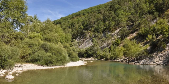 Verdon