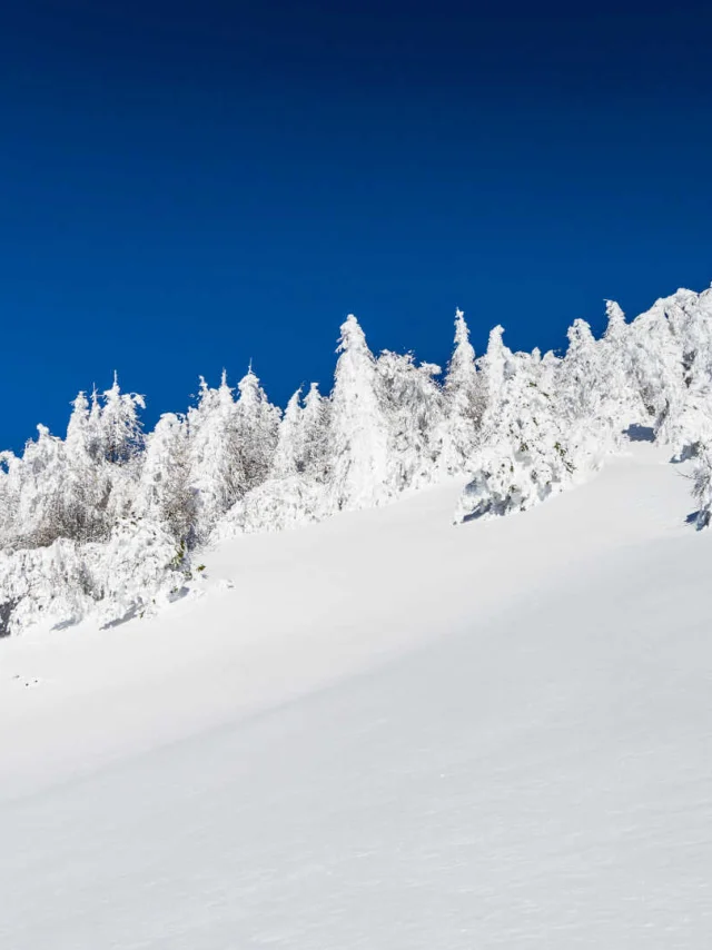 Descente en ski hors-piste à Saint-Crépin