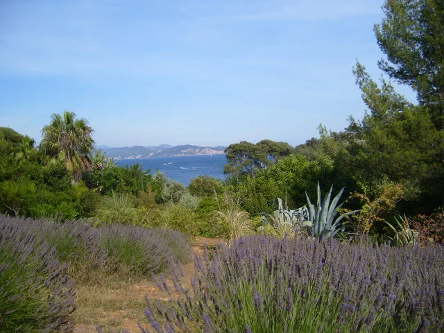 Parc Du Mugel La Ciotat Provence 552