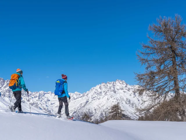 Raquettes Alpes @Van Rijnr