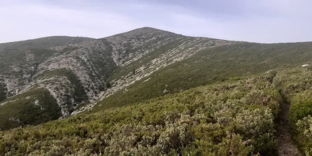 Massif Saint Cyr Marseille