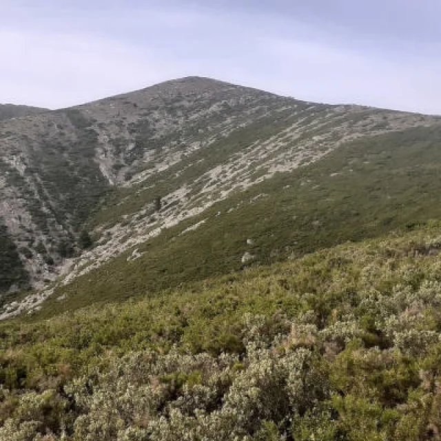 Massif Saint-Cyr Marseille