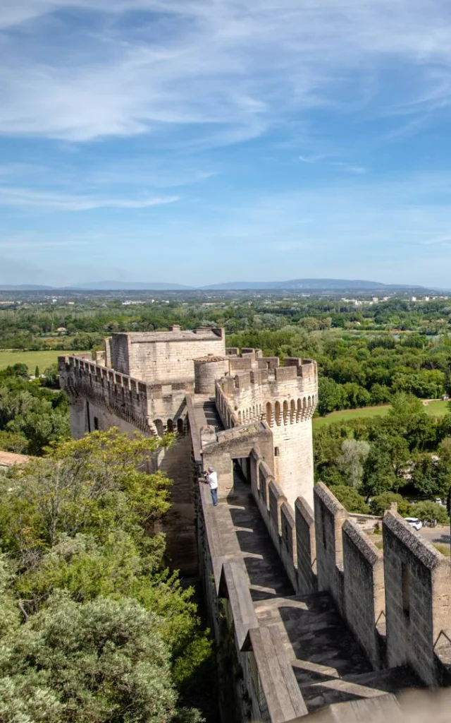 Fort Saint Andre