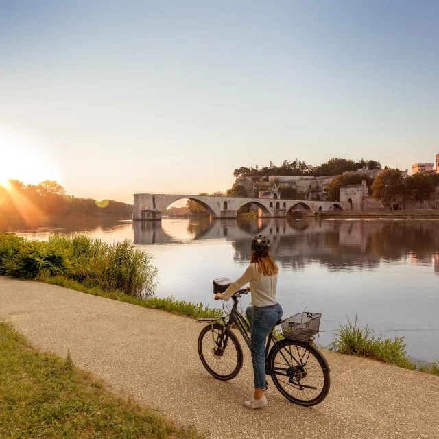 Avignon Provence J.vandal