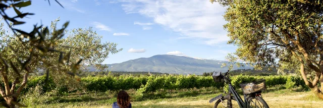 Mont Ventoux Provence J.vandal