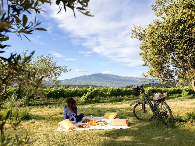 Mont Ventoux Provence J.vandal
