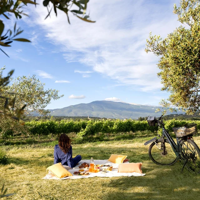 Mont Ventoux Provence J.vandal