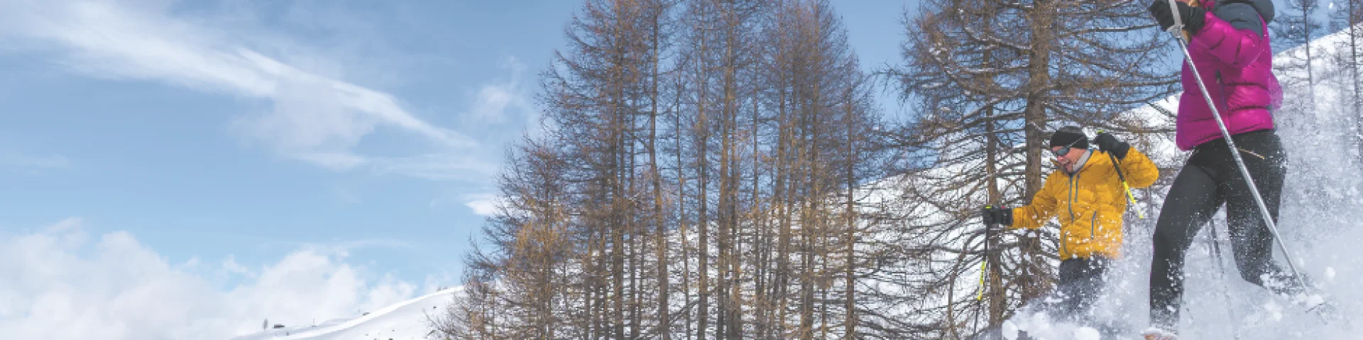 Copie De Copie De Copie De Enneigement