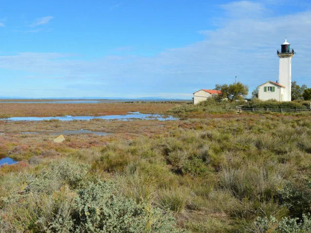 Le phare de la Gacholle et paysage verdoyant
