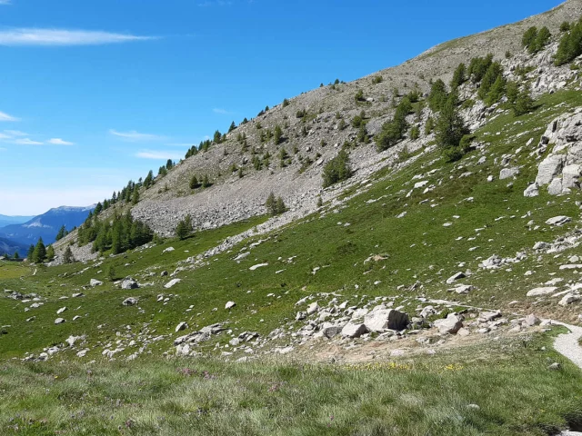 Un sentier de randonnée dans le décor de l'Ubaye au col de la Cayolle