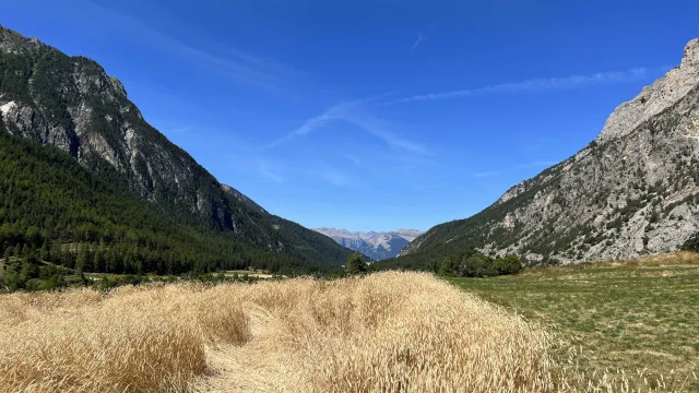 Panorama der Berge und der grünen Landschaft im Naturpark Queyras in Ceillac