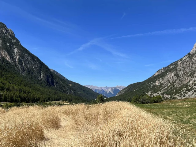 Panorama de montagne et de verdure dans le Parc naturel du Queyras à Ceillac