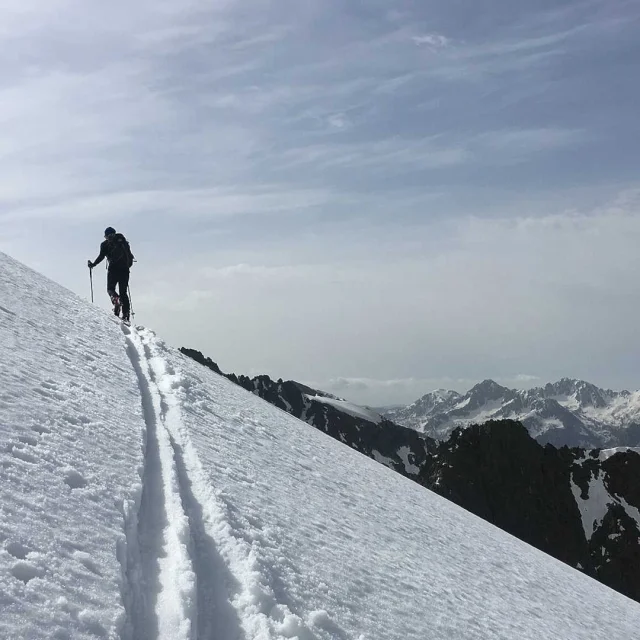 Des skieurs en ski de randonnée sur une pente enneigée de la cime de la Lombarde dans le Mercantour